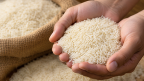 Preços do arroz ficam estáveis no início de outubro após altas em setembro