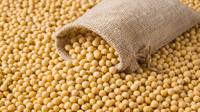 Soja sobe mais de 20 pts em Chicago nesta 4ª feira, acompanhando nova disparada de mais de 4% do óleo