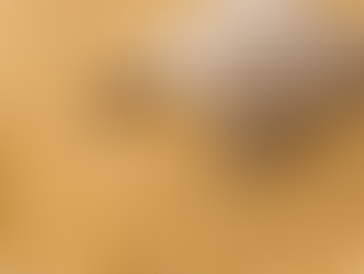 Soja sobe mais de 20 pts em Chicago nesta 4ª feira, acompanhando nova disparada de mais de 4% do óleo