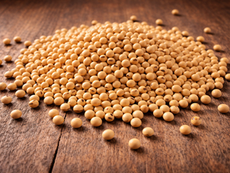 Petróleo volta a subir, puxa óleo e soja segue em alta na Bolsa de Chicago nesta 2ª feira