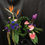縮圖：精緻桌上花禮 Table Flower