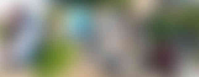 Drone photography looking down at Casa Pulpo