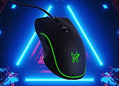 Mouse.webp