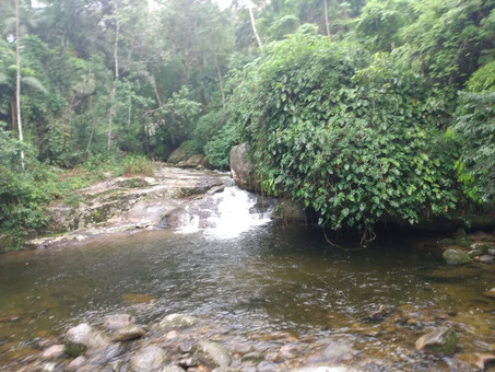 Jipe Tour pelas Cachoeiras e Alambiques da Serra da Bocaina