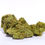 Thumbnail: Coastal Carolina Crave THCA Flower