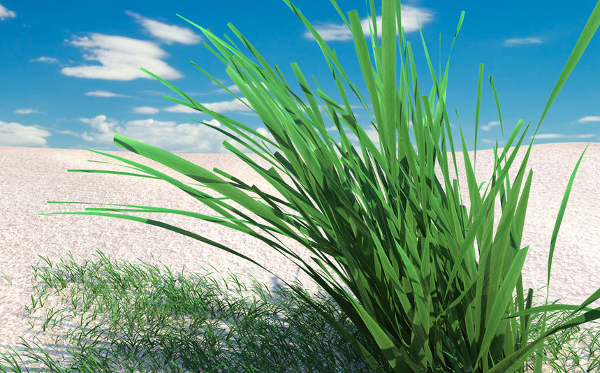 Desert_Grass_Flowers_Sky_002_3D_Render_D_Vance_2016.jpg