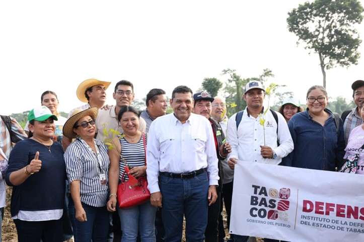 Reforestación en Tabasco supera expectativas: más de 2.5 millones de solicitudes de participación