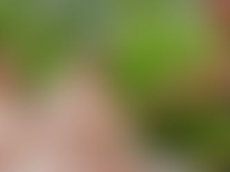 ANGSANA SPA EN LA HACIENDA XCANATUN