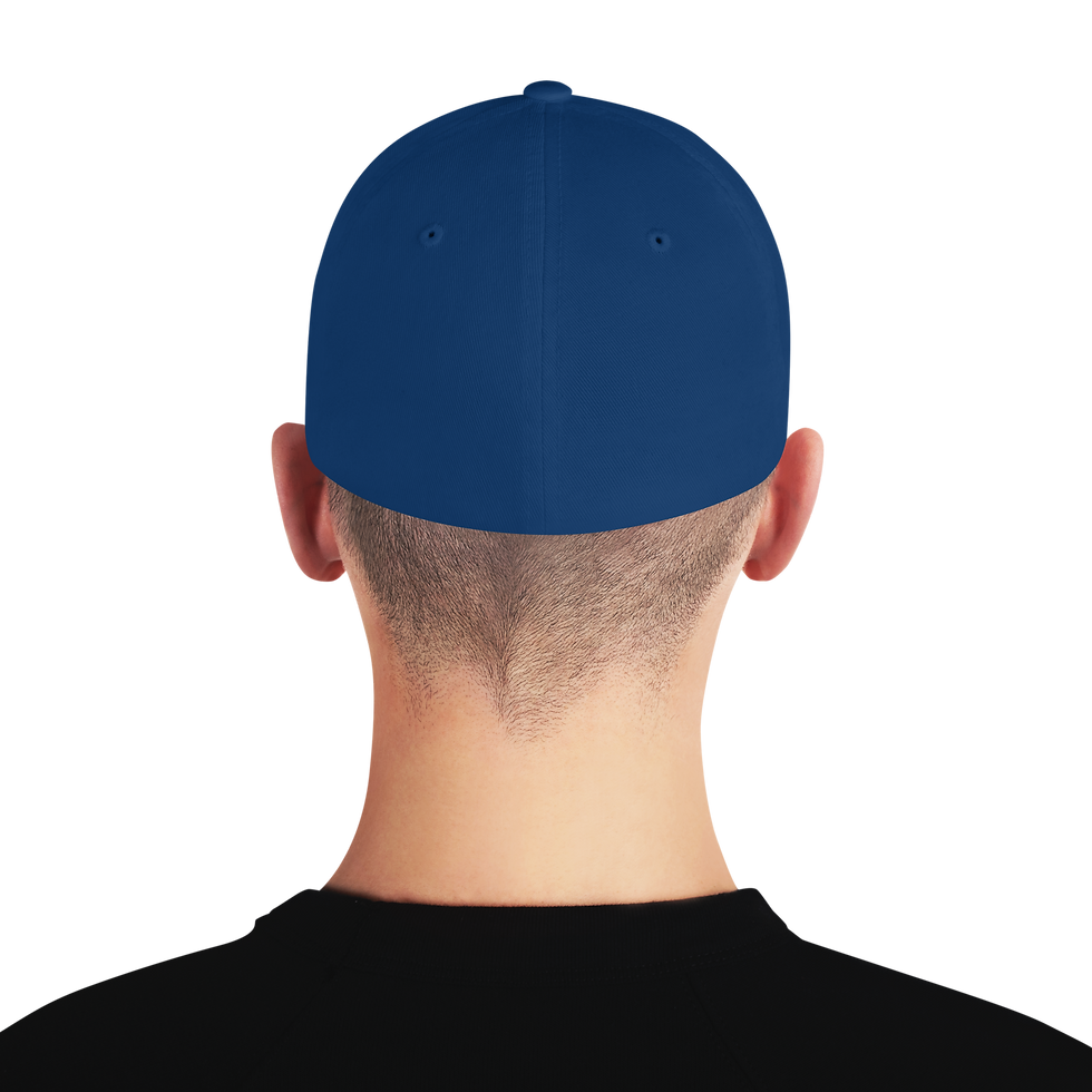 Miniaturbild: BTC Flexfit Cap