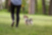 AdobeStock_107590773.jpeg