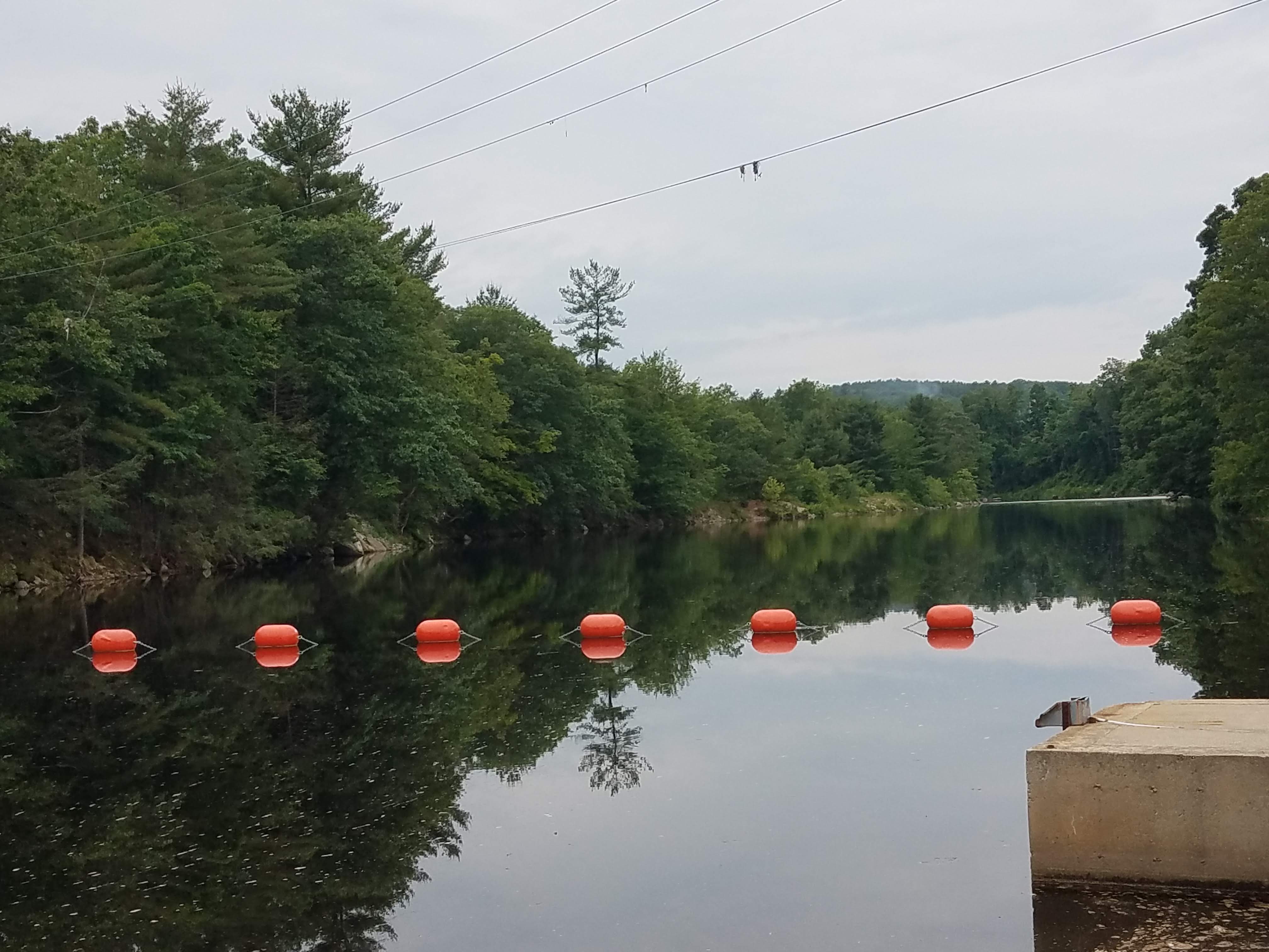 Dam Buoys