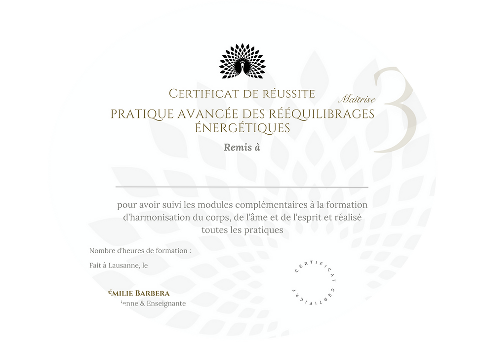 Certificat de réussite 3