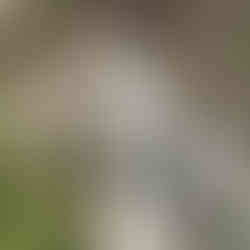 Upper Whitewater Falls