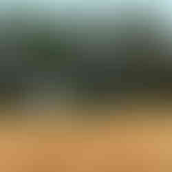 entrance to Oaky Woods WMA