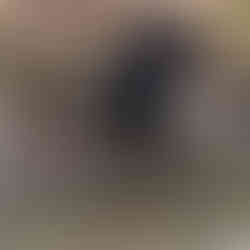 bear on ride to Cades Cove along the river