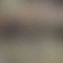 bears on ride to Cades Cove along the river