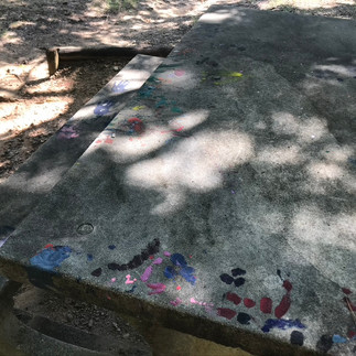 someone left unkept campsite with fire still burning left at Hart State Park