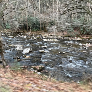 ride to Cades Cove along the river