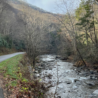 ride to Cades Cove along the river