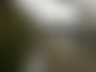 タイニーハウスにつまっているもの