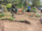 community garden volunteers