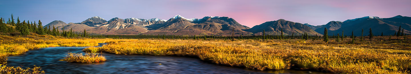 alaska_header_desktop.jpg
