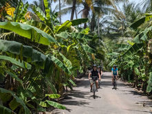 A group of three cyclists riding along a shaded road through banana and coconut palm trees in coastal Thailand, wearing casual clothing and helmets.
