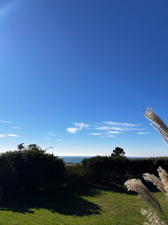 Tifini Vega, Mobile Notary – Professional Mobile Notary and Apostille Services in San Mateo County