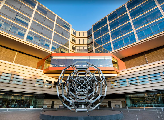 Notary Services at Stanford Pasteur