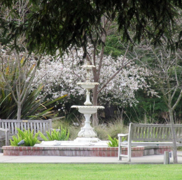 california-notary-public