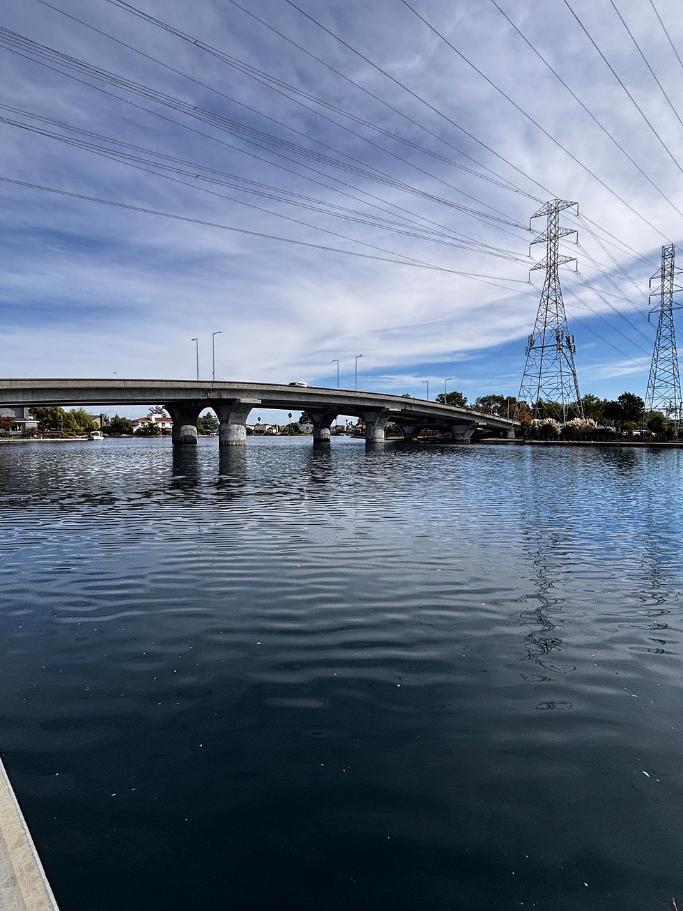 Tifini Vega, Mobile Notary – Professional Mobile Notary and Apostille Services in San Mateo County