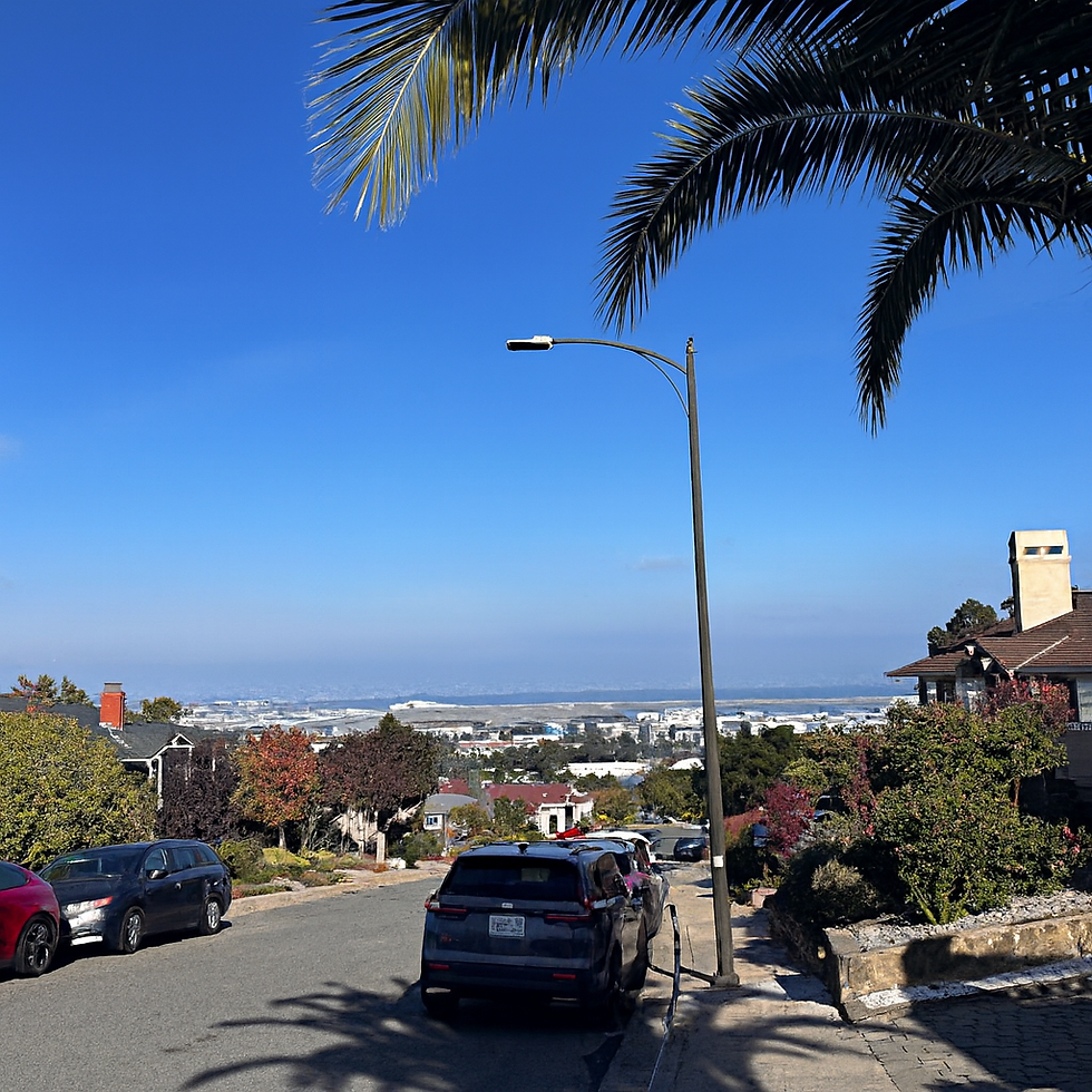 Tifini Vega, Mobile Notary – Professional Mobile Notary and Apostille Services in San Mateo County