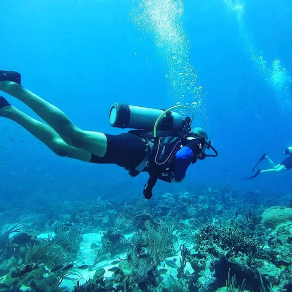 diving and sailing trips on catamaran
