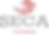 SECA_Fitness_Square_Red (1)_edited.png