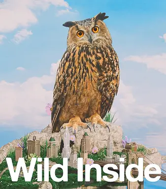 wildinside_sq.webp
