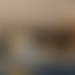 Cinder's Journey: Recovering From Metacarpal Fractures, Weeks 0-3