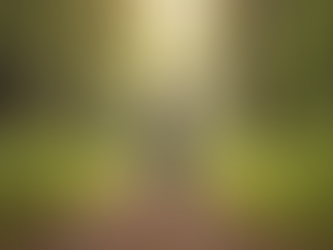 Exploring the Benefits of Nature-Based Education