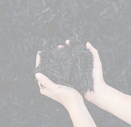 black+mulch_edited.png