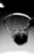 hoop1 (1) (1) (1).jpeg
