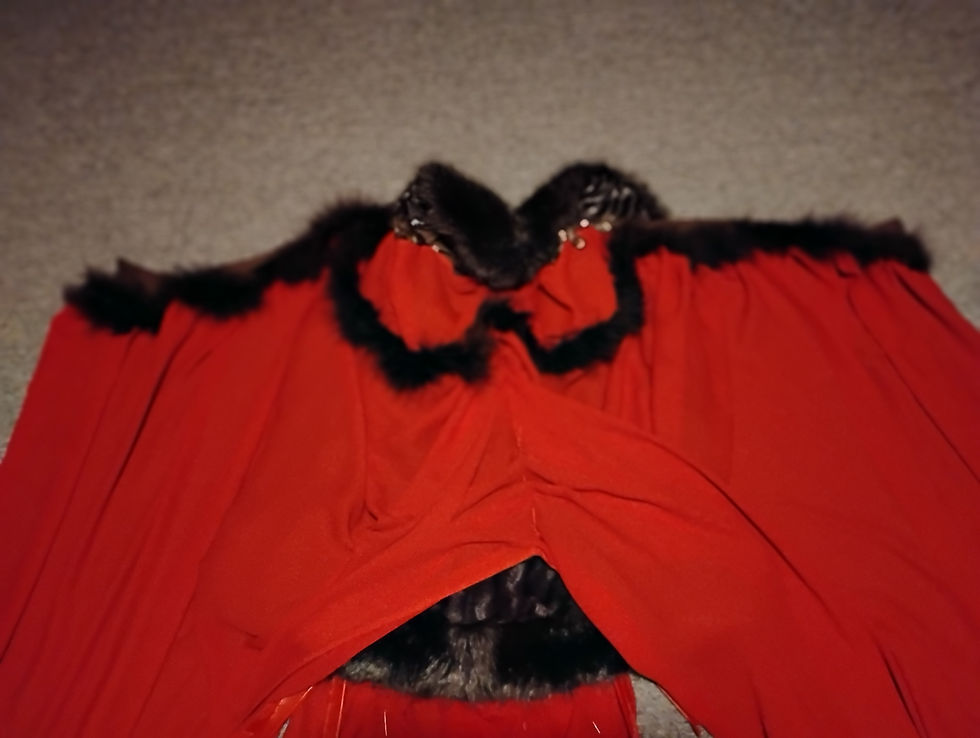 Thumbnail: Masked Firebird Costume