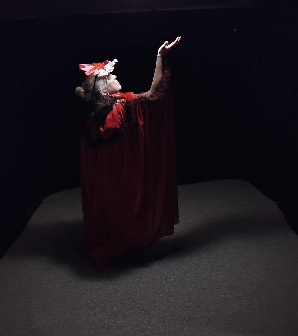 Thumbnail: Masked Firebird Costume