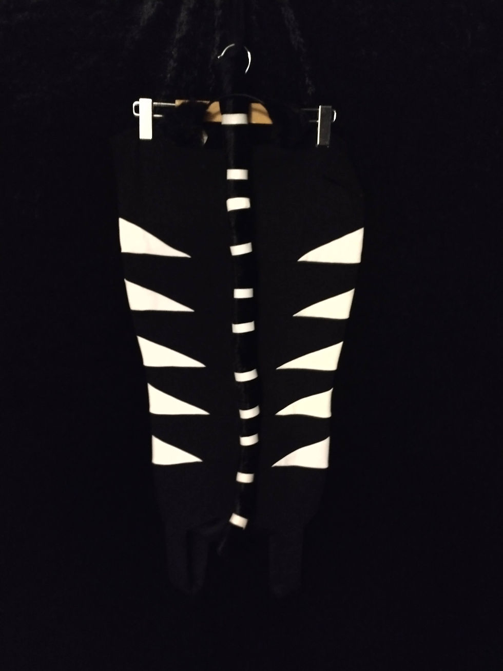 Thumbnail: Graphic Zebra
