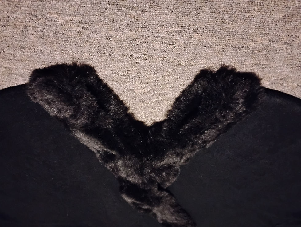 Thumbnail: Fur Trimmed Cape