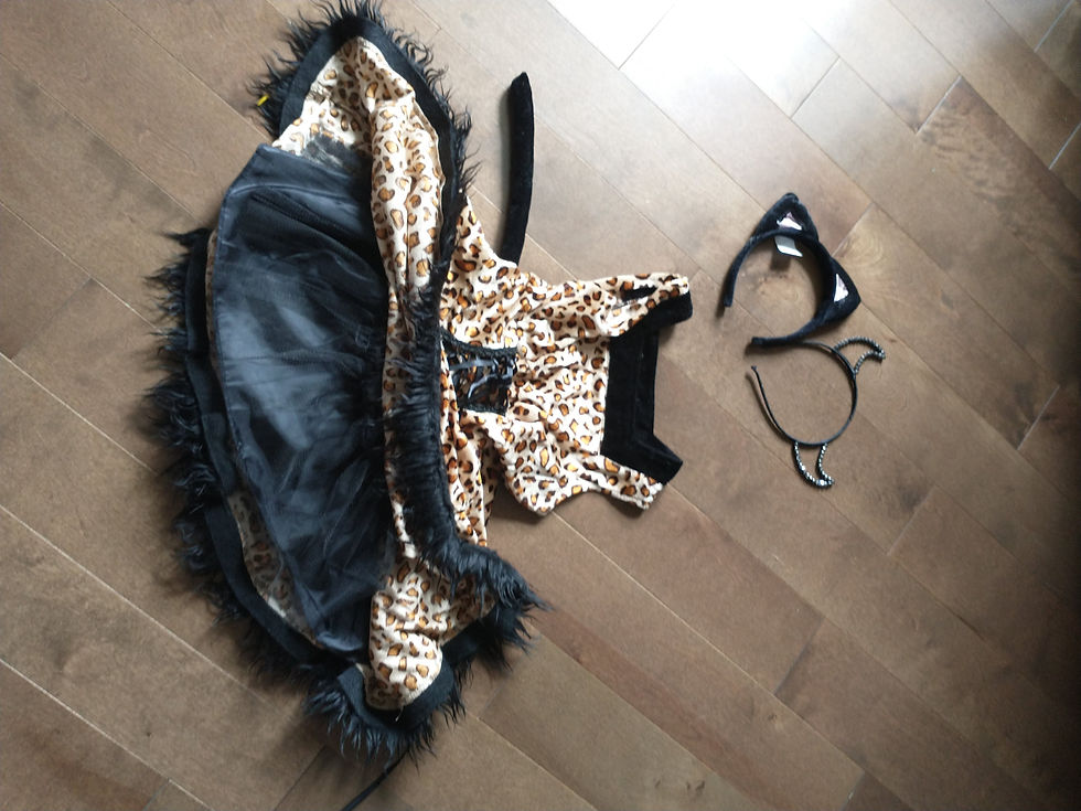 Thumbnail: Leopard Devil Cat Dress & Ears