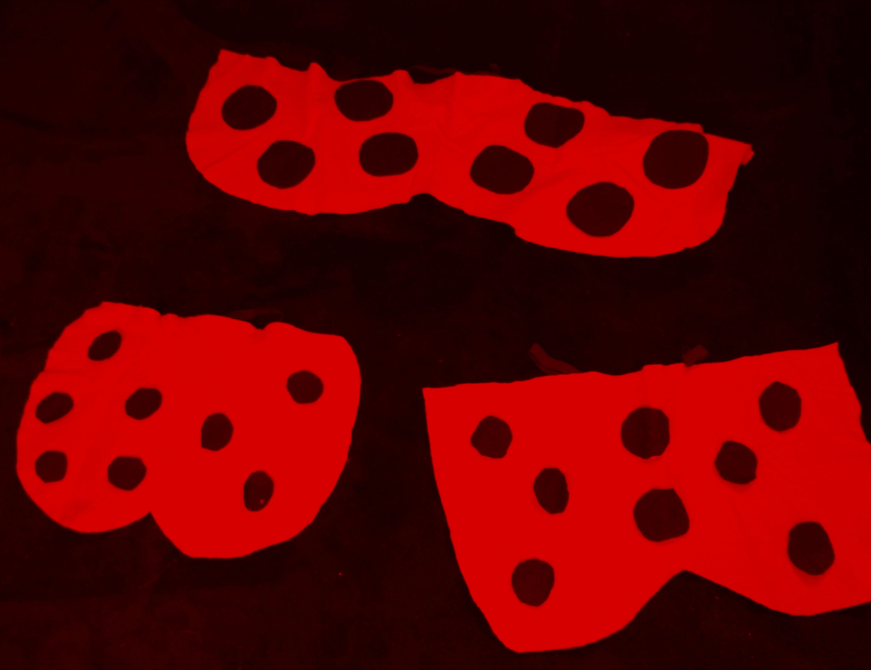 Lady Bug, Lady Bug...