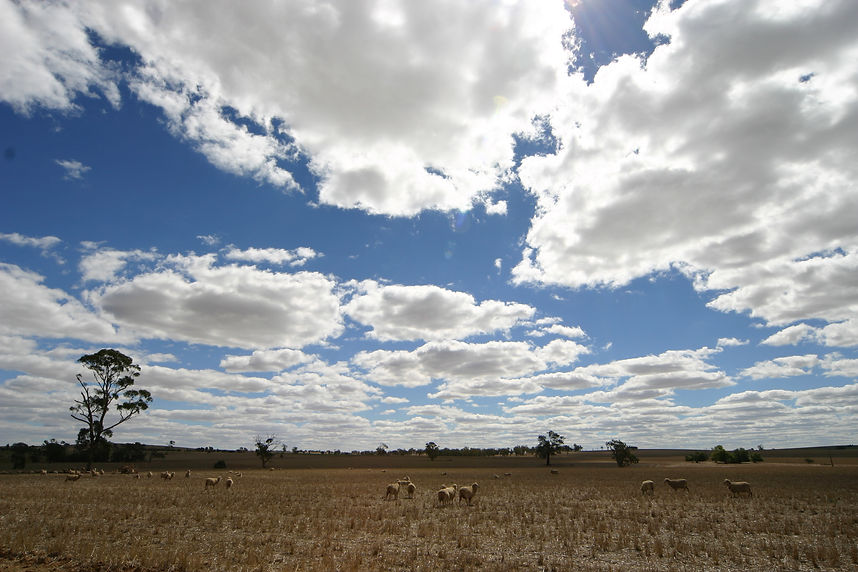 AustraliaPhoto (183).JPG