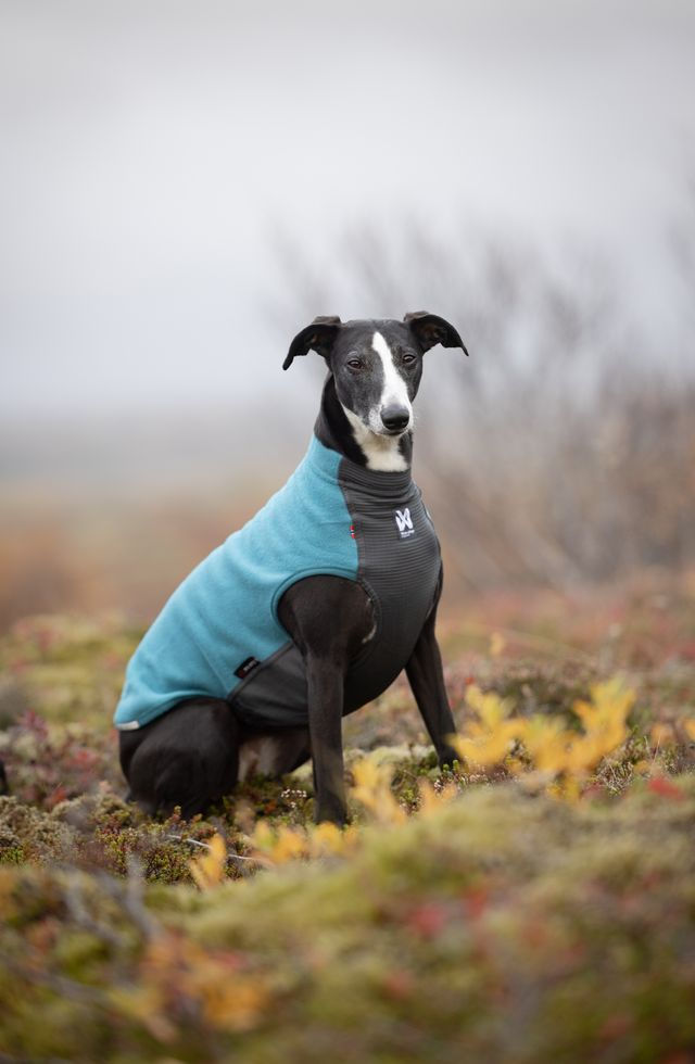 Thumbnail: Trail Quest Fleece Pullover