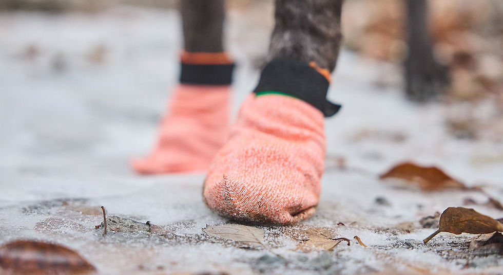 Thumbnail: Protector Light Socks