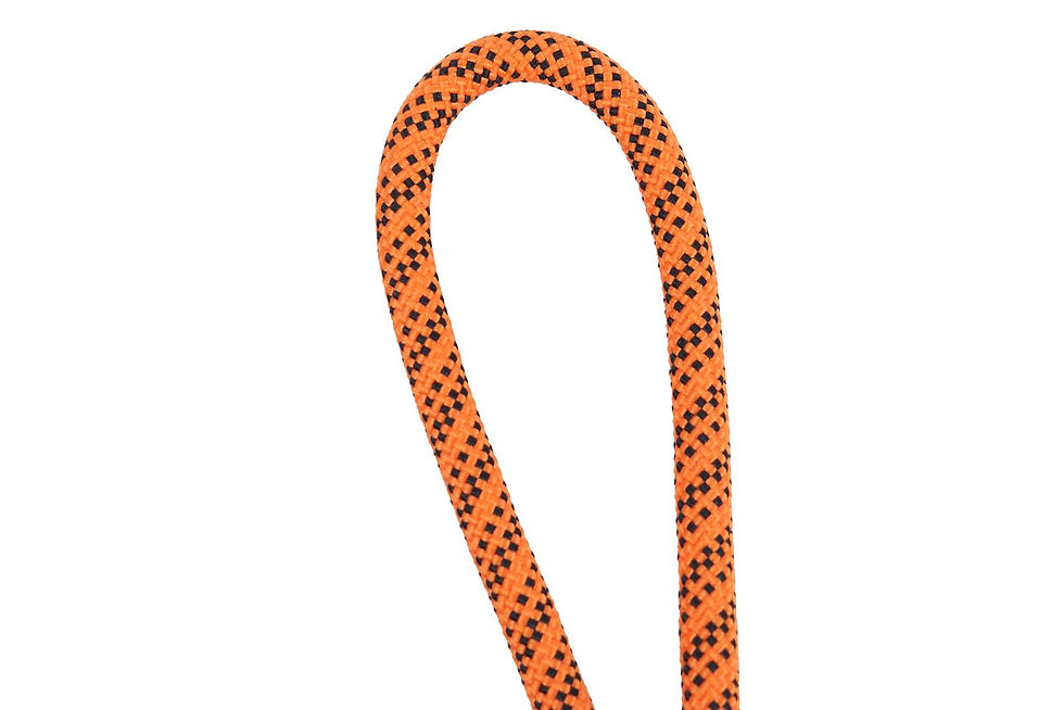 Miniature : Dog Ball on Rope (Bal met touw)