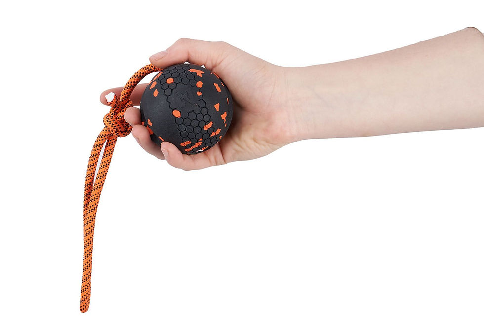 Miniature : Dog Ball on Rope (Bal met touw)